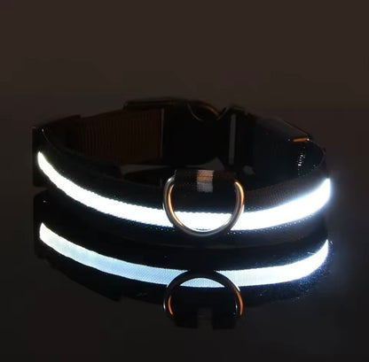 LED collar