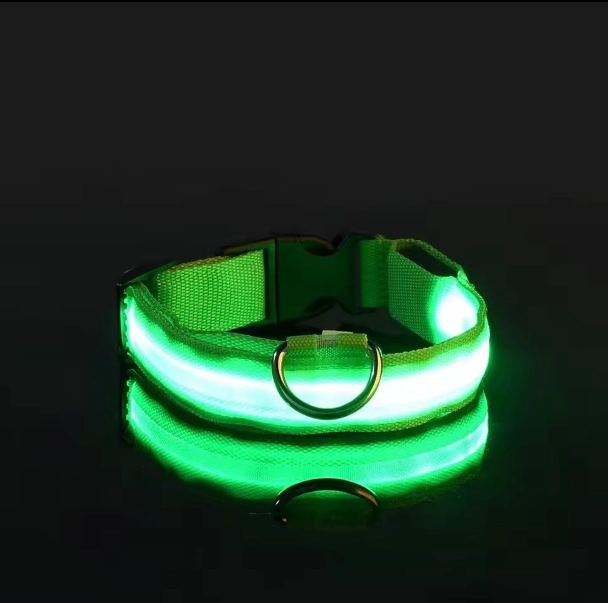 LED collar