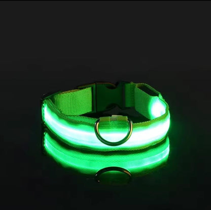 LED collar
