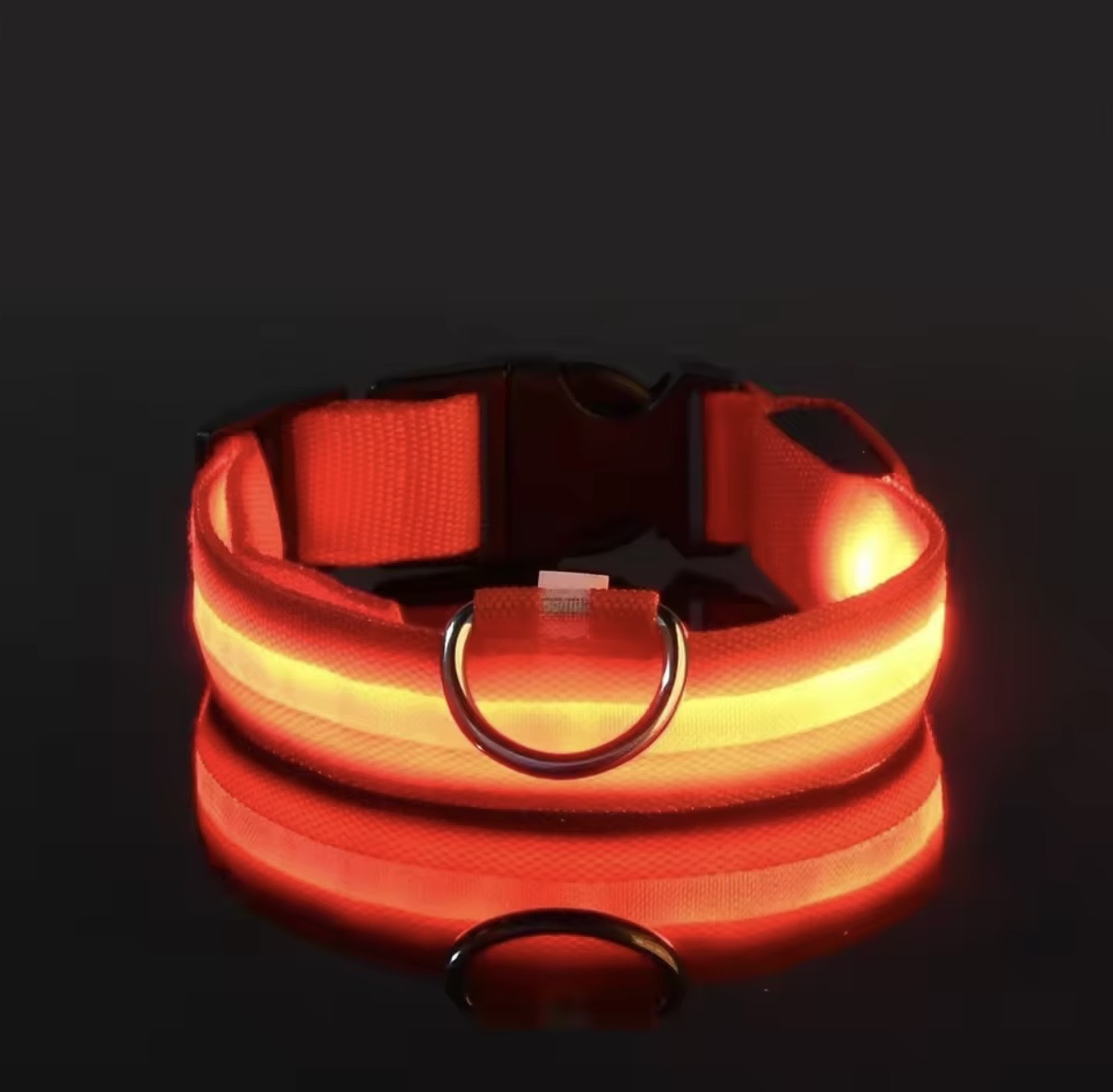 LED collar