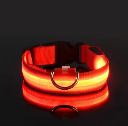 LED collar