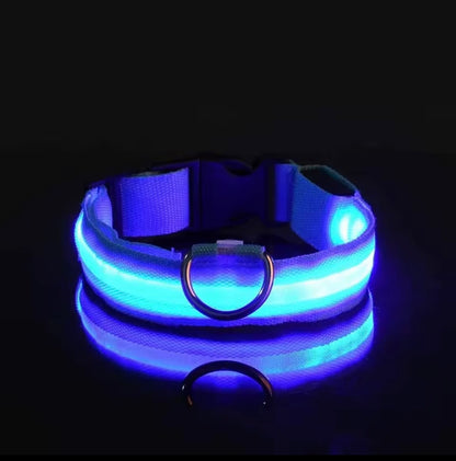 LED collar