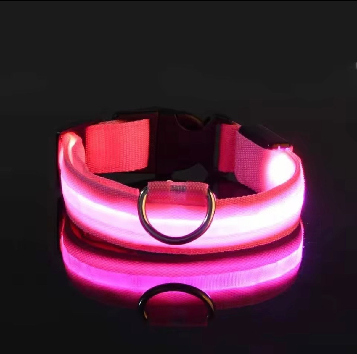 LED collar