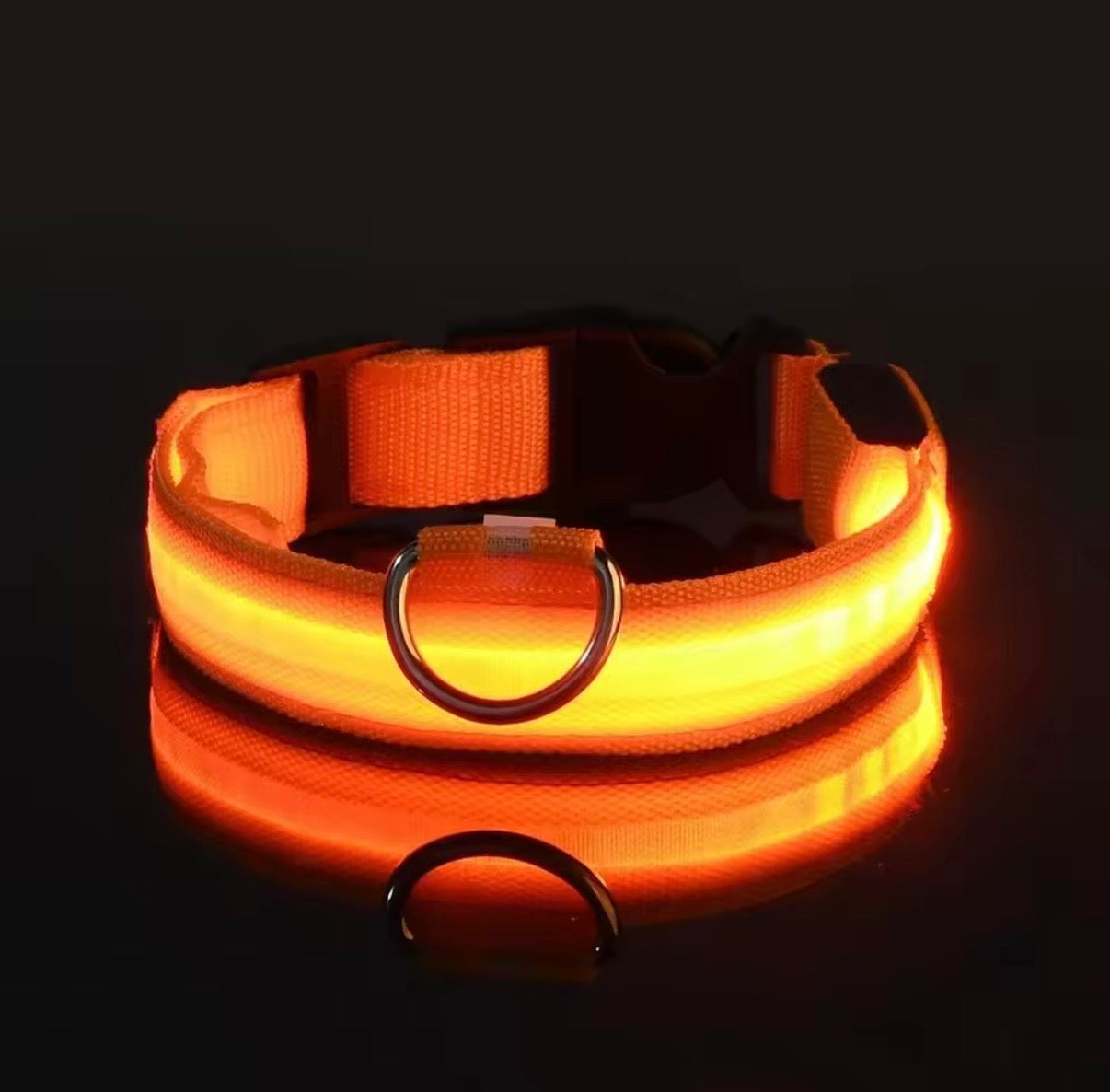 LED collar
